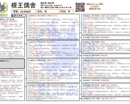 拍賣鴿之血統書