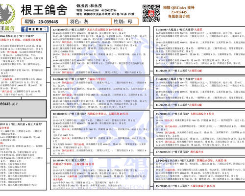 拍賣鴿之血統書