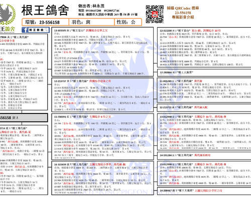 拍賣鴿之血統書