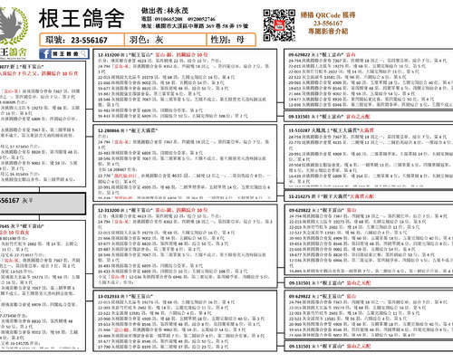 拍賣鴿之血統書