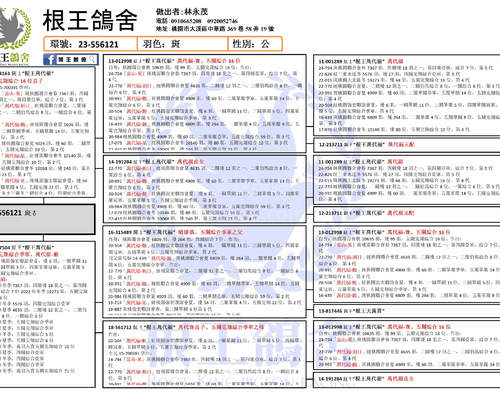 拍賣鴿之血統書