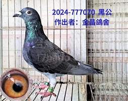 112北海冬季大新興綜合6之表弟 2014-00777070